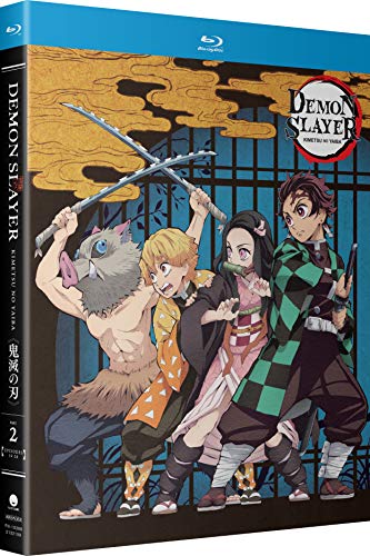 Demon Slayer: Kimetsu no Yaiba Standard Edition – Part Two